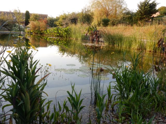 Etang de baignade